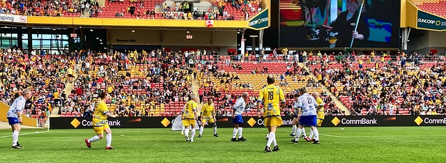 球迷们将期 球迷们将期