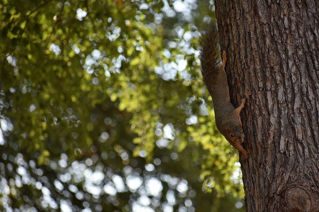 浦的较量 浦的较量